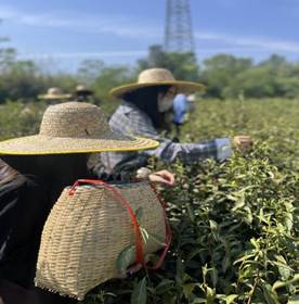 E7D397A33903EC7BF1283BAA31C8B64A